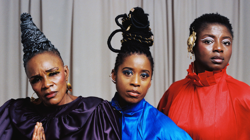 LES AMAZONES D’AFRIQUE