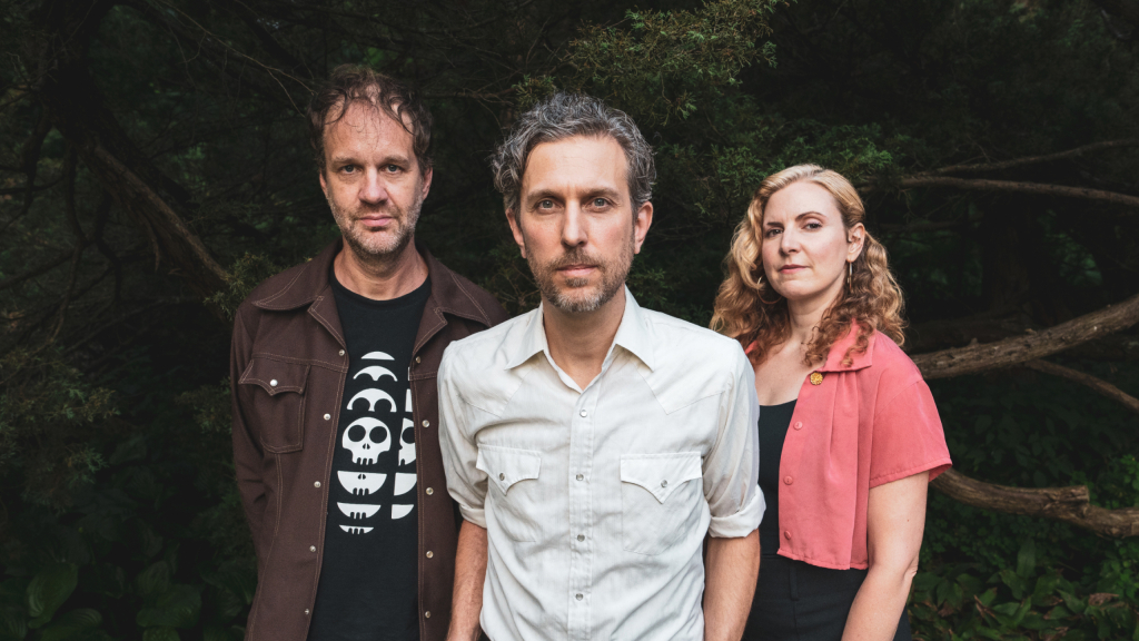 GREAT LAKE SWIMMERS